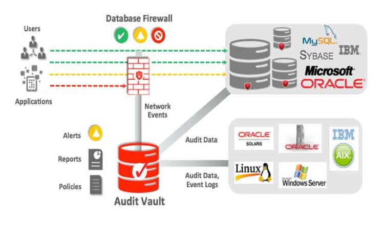 Vulnerabilidades importantes que afectan a la seguridad de base de datos